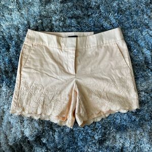 NEW Ann Taylor Shorts Size 2